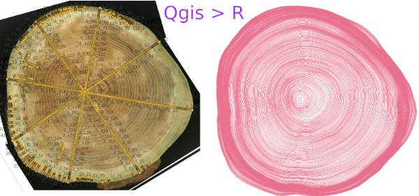 ‘Qgis’>>>‘R’